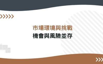 市場環境與挑戰:機會與風險並存